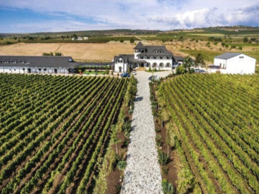 Short Break la Conacul din Ceptura cu degustare de vin
